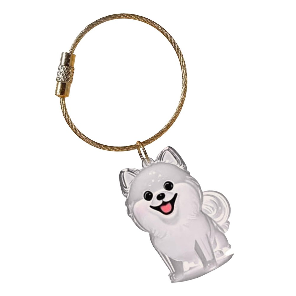 Fluxioxtna Dog Hair Memorial Keychain with Clear Display Box