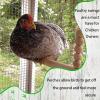 Chicken Swings for Coop view 3