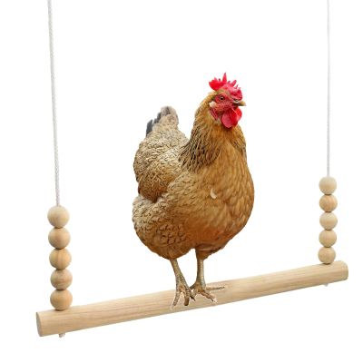 Sturdy Chicken Swing for Play, Enrichment and Rest