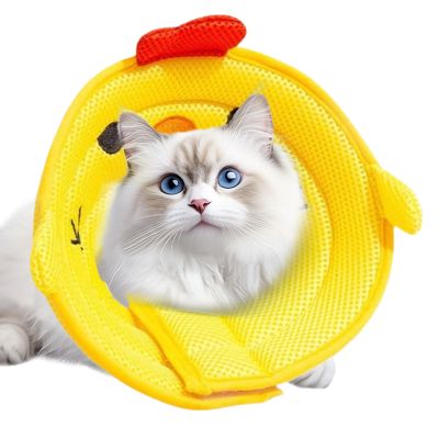 Soft Recovery Collar for Pets