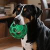 Davivian Dog Play Ball - Soft Chew Toy view 2
