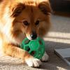 Davivian Dog Play Ball - Soft Chew Toy view 3