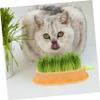 HEMOTON Hydroponic Cat Grass Planter - Yellow view 4