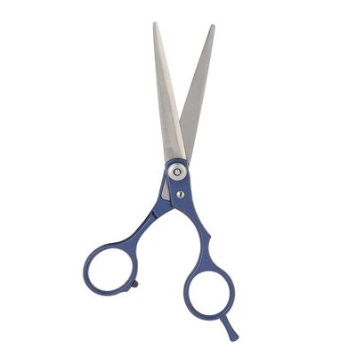 KIMISS Professional Hair Cutting Scissors, Stainless Steel, Blue