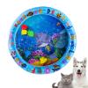 Cat Water Bed Play Mat view 1