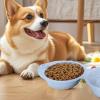 Portable Dog Bowl - Double Feeding Bowl view 2