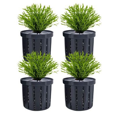 Aquarium Hydroponic Aquatic Plant Holder
