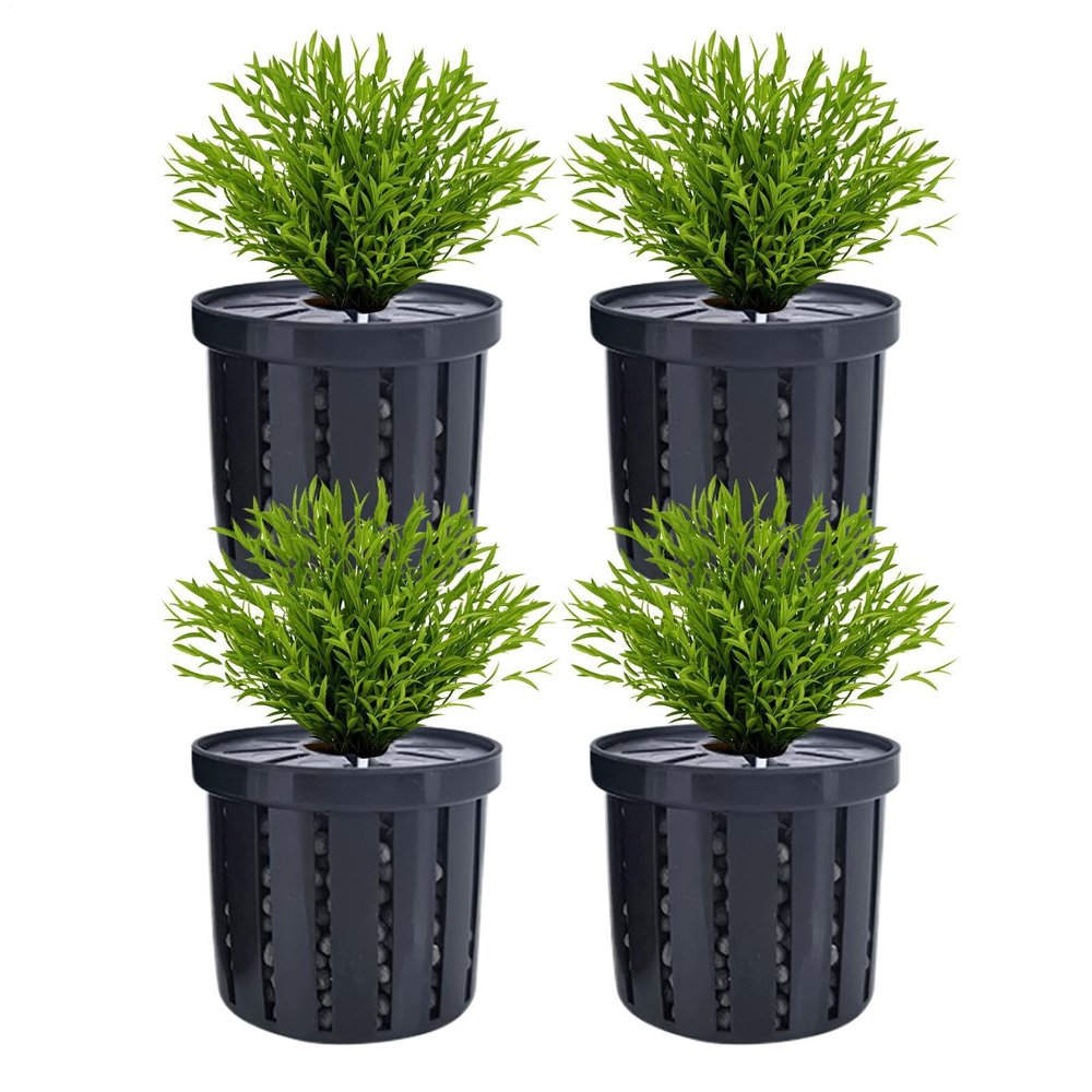 Aquarium Hydroponic Aquatic Plant Holder