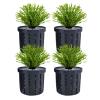 Aquarium Hydroponic Aquatic Plant Holder view 1