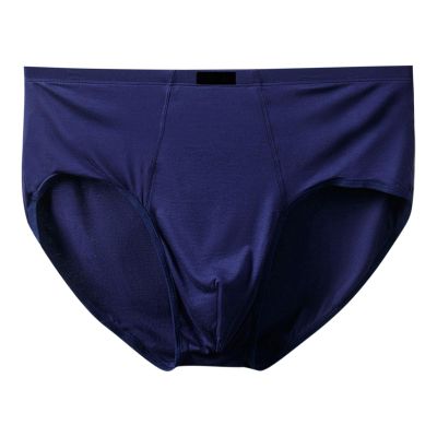 Men's Microfiber Briefs – Breathable, Soft, With or Without Fly