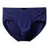 Men's Microfiber Briefs – Breathable, Soft, With or Without Fly view 1