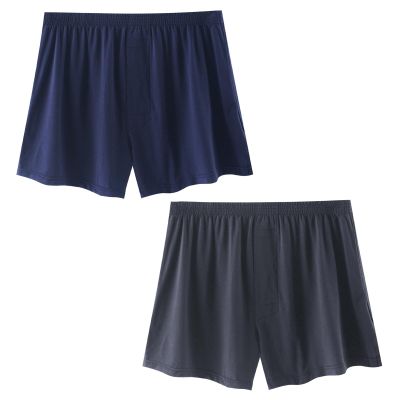 2-Pack Men's Microfiber Briefs, Breathable Soft Underwear, With or Without Fly