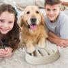 Slow-Feeder Bowl for Dogs and Cats, Plastic, Pzy326 (B, One Size) view 2