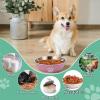 Stainless Steel Dog Bowls, 3-Piece Set with Non-Slip Rubber Base, 860 ml view 3