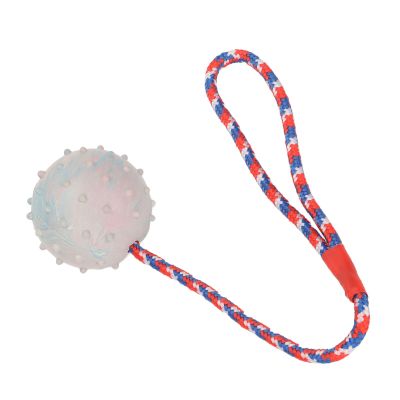 Rubber Dog Ball with Handle and Rope for Medium Dogs