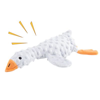 Huvqianu Squeaky Dog Toy
