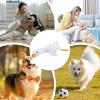 Interactive Squeaky Dog Toy view 4