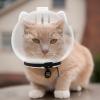 Transparent Cat Muzzle Cover for Bite Prevention view 2