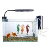 Fluorescent Silicone Seahorse Aquarium Ornament with Suction Cup view 2