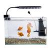 Fluorescent Silicone Seahorse Aquarium Ornament with Suction Cup view 3
