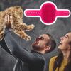 Self-Care Cat Brush view 2
