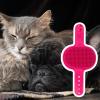 Self-Care Cat Brush view 3
