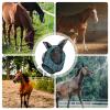 Fly Mask with Ears, UV Protection, Breathable, Mane Opening view 4