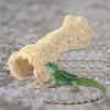 Reptile Habitat Resin Cave Decoration view 3