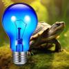 Penlimly Reptile Heat Lamp | 100W UVA Lamp for Turtles, Lizards, Bearded Dragons view 3