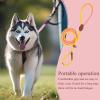 Dog Harness and Leash | Nylon Leash for Puppies and Dogs view 3
