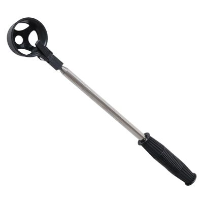 Extendable Stainless Steel Egg Grabber