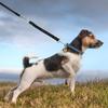 FONDOTIN Reflective Elastic Nylon Dog Leash with Extension for Small and Medium Dogs, for Walking and Running view 3