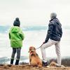 FONDOTIN Reflective Elastic Nylon Dog Leash with Extension for Small and Medium Dogs, for Walking and Running view 4
