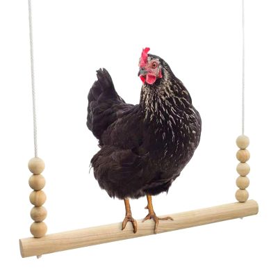 Backyard Chicken Swing Set - Sleep Ladder, Hanging Wooden Bar