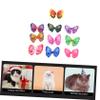 HEMOTON 30-Piece Colorful Pet Hair Bows with Elastic Polyester Bands for Dogs and Cats, Random Colors view 4