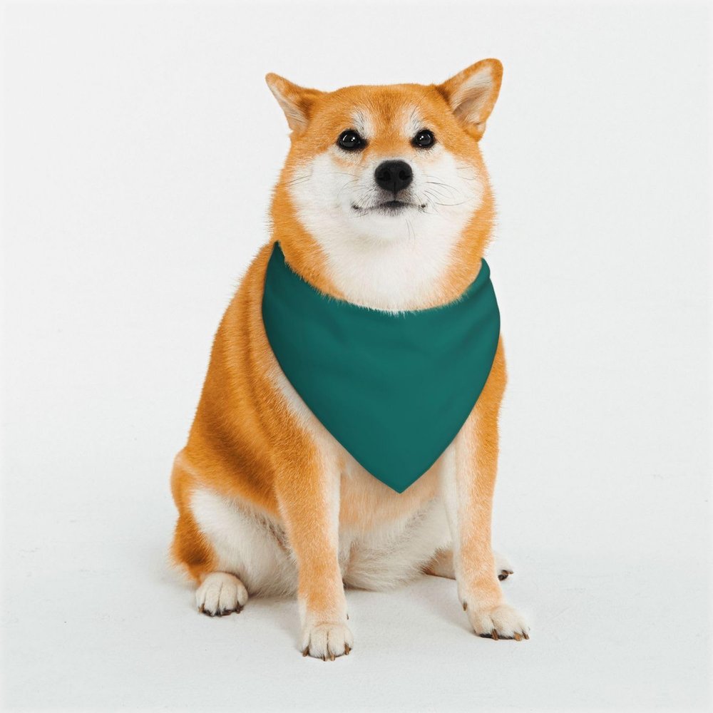 Pet Scarf, Stylish Triangle Bandana, Washable, Size M, Natural Green