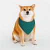 Pet Scarf, Stylish Triangle Bandana, Washable, Size M, Natural Green view 1