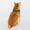 Pet Scarf, Stylish Triangle Bandana, Washable, Size M, Natural Green view 2