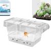 Acrylic Breeding Box | 20.3 cm Fish Hatchery view 2