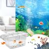 Acrylic Breeding Box | 20.3 cm Fish Hatchery view 3
