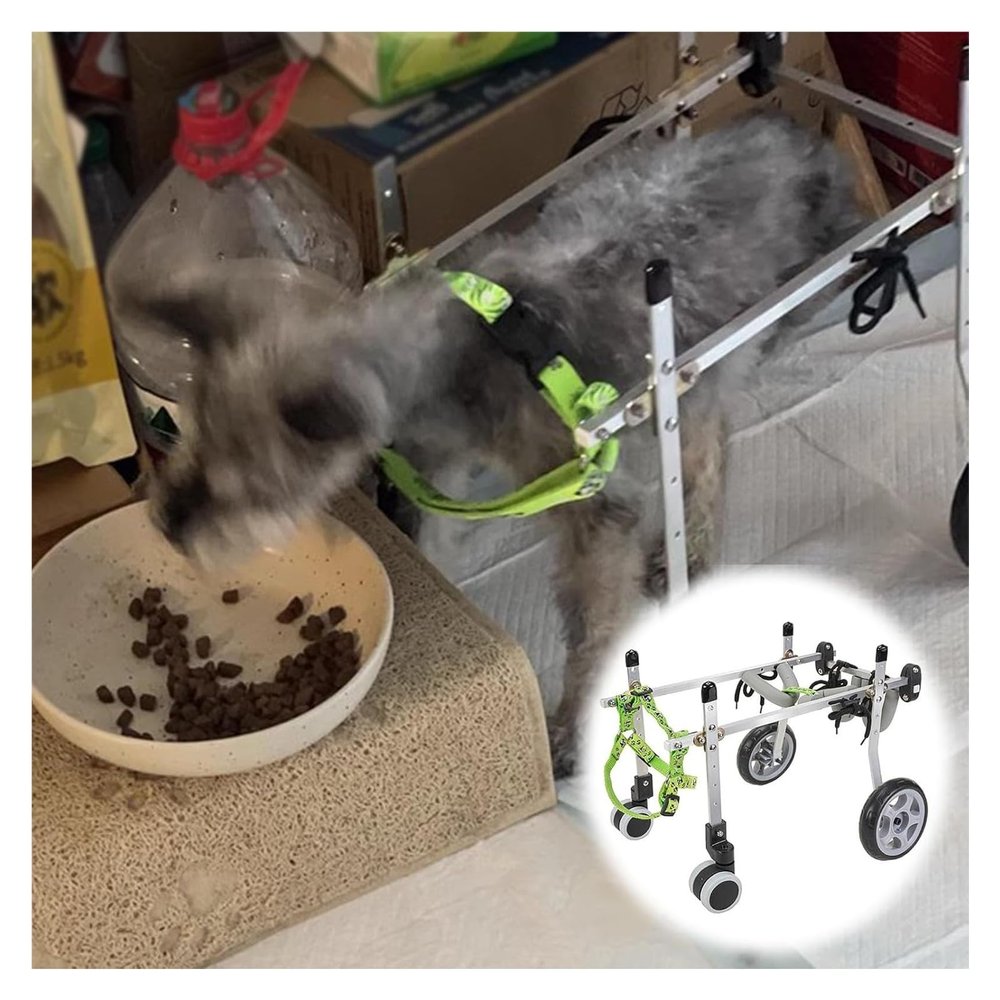 Adjustable Dog Wheelchair for Hind-Leg Support