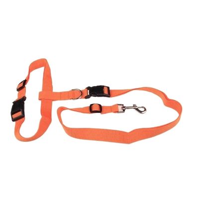 YDYAENIO Adjustable Hands-Free Dog Leash with Waist Belt, Orange