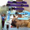 YDYAENIO Adjustable Hands-Free Dog Leash with Waist Belt, Orange view 4