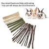 3-Piece Small Pet Chew Toy Set view 3