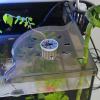 Aquarium Plant Holder - Transparent Corner Plant Stand for Fish Tanks view 4