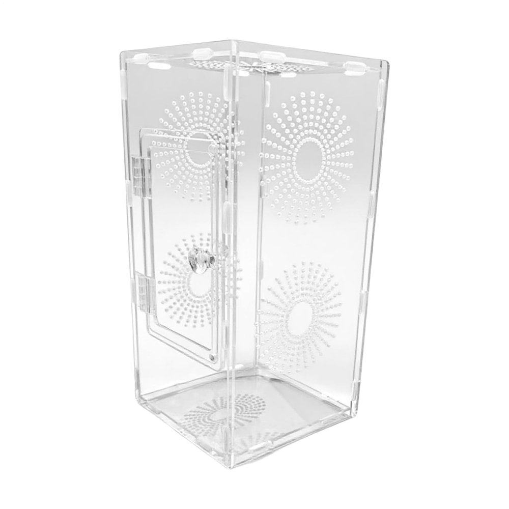 Jumping Spider Terrarium, 30 x 15 x 15 cm, Clear Acrylic