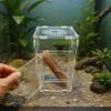 Jumping Spider Terrarium, 30 x 15 x 15 cm, Clear Acrylic view 3