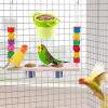 Bird Feeder for Parakeets view 2