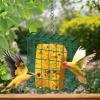 Squirrel-Proof Bird Feeder view 2