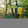 Squirrel-Proof Bird Feeder view 4